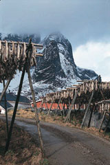 Reine - in early spring.